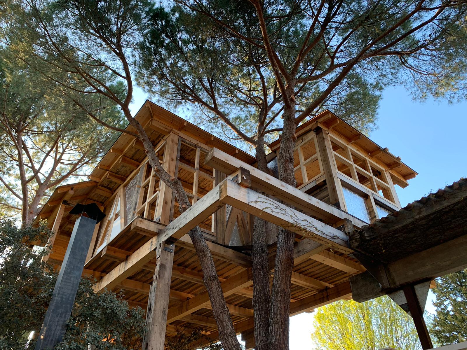 casa árbol Madrid